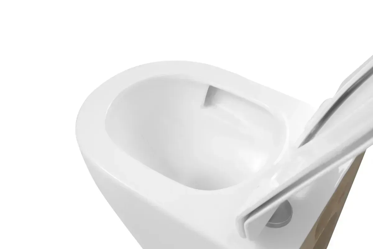 Toaletă suspendată Imprese Rozkos Twist